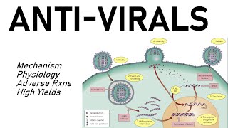 Antiviral Pharmacology [upl. by Gibson695]