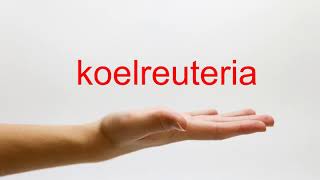 How to Pronounce koelreuteria  American English [upl. by Ardella441]