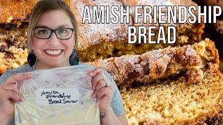 Amish Friendship Bread Recipe  How to make Starter [upl. by Brosy815]