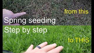 How to GROW GRASS in the SPRING successfully step by step [upl. by Lesak173]