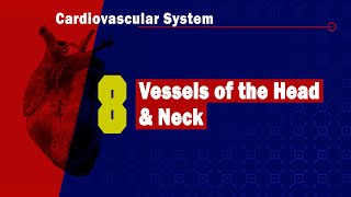 Jugular Venous distention on Physical Exam Part 2 [upl. by Ettenauq443]