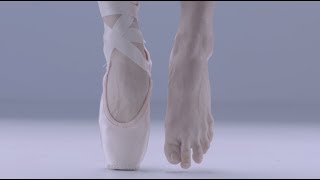 Ballet Anatomy Feet [upl. by Akiemehs141]