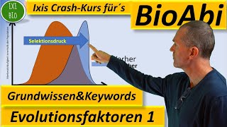 Evolution 1 Evolutionsfaktoren  Grundwissen  Übersicht  Training Wortschatz Keywords BioAbi [upl. by Giark423]