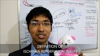 Ischemia Reperfusion Injury HD [upl. by Urbai]