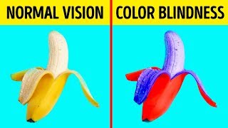 How Color Blind People See the World [upl. by Yelsnia]