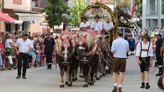 Die Highlights vom Volksfestauszug 2019 [upl. by Akenaj]