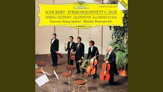 Schubert String Quintet in C Major D 956  II Adagio [upl. by Akkire]