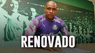 JAILSÃO DA MASSA RENOVA COM PALMEIRAS [upl. by Grider]