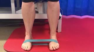 Knee Strengthening Exercise Routine Bulletproof Knees [upl. by Othilie109]