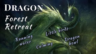 Dragon Forest Retreat  1 hour Relax in a Dragons Land  Soft Music  Fantasy Howls Wind 🌲 [upl. by Feliza]