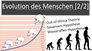 Evolution des Menschen 22  Hominisation Merkmale der Menschenarten Biologie Oberstufe Abitur [upl. by Fesoj]