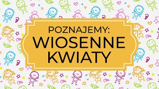 Edukacja zdalna  Poznajemy WIOSENNE KWIATY [upl. by Naillik]