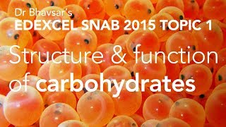 Edexcel SNAB A level biology Energy carbohydrates topic 1 [upl. by Muiram161]