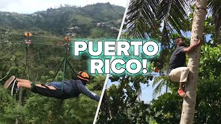 7 Unbelievable Things To Do In Puerto Rico [upl. by Yumuk996]