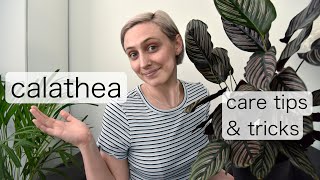 CALATHEA Plant Care Tips  Prayer Plant Care [upl. by Nitsua]