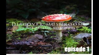 Discover Mushrooms in the PNW Documentary Episode 1 [upl. by Vitus75]