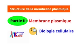 Membrane plasmique Structure et composition de la membrane plasmique [upl. by Isbella]