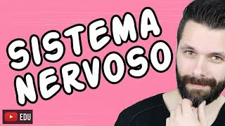 SISTEMA NERVOSO  FISIOLOGIA  Aula  Biologia com Samuel Cunha [upl. by Sothena]