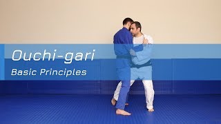 Ouchigari  Basic principles [upl. by Hewe]