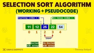 Selection Sort Algorithm  How Selection Sort Works with Example  Part  1  Sorting Algorithms DS [upl. by Annaxor]