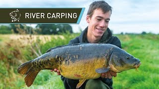 River Carp Fishing for BEAUTIFUL Carp [upl. by Eima]