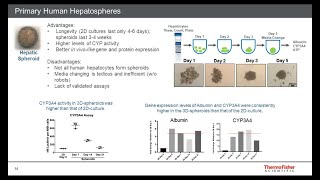 Introduction to 3D Biology Organoids Spheroids and Applications Relative to 2D Culture [upl. by Yenruoc]