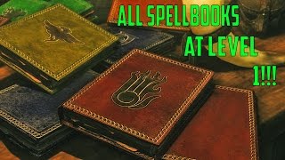 Skyrim Special Edition Guide How to get All Vendor Spells at Level 1 [upl. by Ardna134]