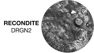 Recondite  DRGN2 HFT035 Official Audio [upl. by Duhl]