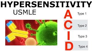 Hypersensitivity  USMLE [upl. by Suivatco]