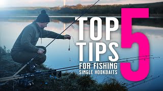 TOP 5 TIPS FOR FISHING SINGLE HOOKBAITS Winter Carp Fishing Catch Carp In Winter Mainline Baits [upl. by Ityak]