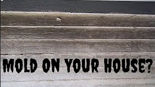 How to Remove Mold from Entire House Exterior [upl. by Lienaj]