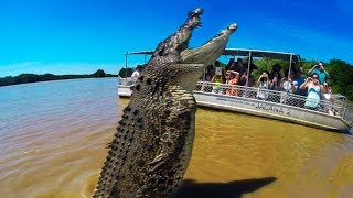 BIGGEST Crocodiles In The World [upl. by Chevalier]