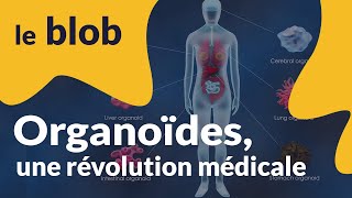 Organoïdes une revolution medicale  Actu de science [upl. by Meeka782]