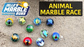 Animal Marble Race  Jelles Marble Runs [upl. by Taft650]