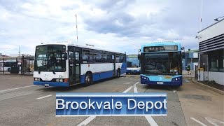 Sydney Bus Vlog 30 Brookvale Bus Depot Timelapse [upl. by Nevi]