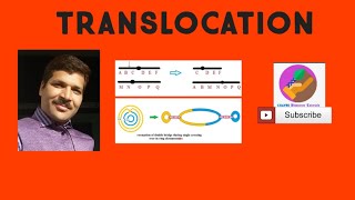 Translocation Structural change in chromosome [upl. by Autrey]