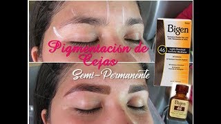 Pigmentacion de Cejas con Bigen  Eyebrow Pigmentation  Augenbrauenpigmentierung [upl. by Andonis190]