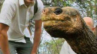 Lonesome George the Galapagos Tortoise  Explore  BBC [upl. by Eerised]