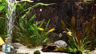 Relaxing Aquarium Fish Tank Sounds  NO MUSIC 🐟 [upl. by Nospmas]