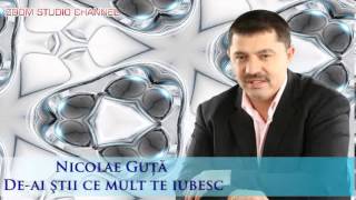 NICOLAE GUTA  DEAI STII CE MULT TE IUBESC ZOOM STUDIO [upl. by Janith89]