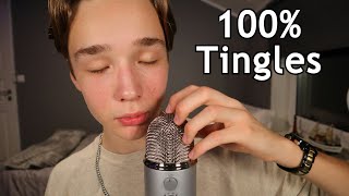 Professional ASMR Mouth Sounds  Sleep amp Tingles Inducing [upl. by Ecenahs949]