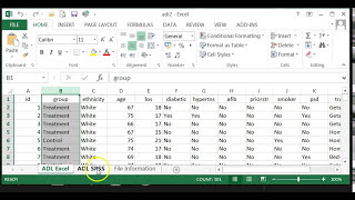 How to import Excel file into SPSS [upl. by Decrem]