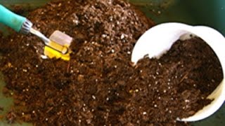 How to revitalize and reuse potting soil [upl. by Stambaugh]