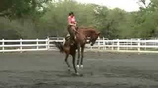 Bucking Horse with Female Rider [upl. by Miguela186]