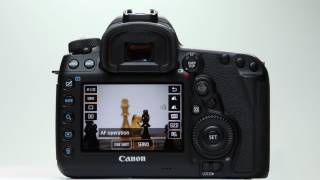 Canon EOS 5D Mark IV Live View AF [upl. by Scrivens58]