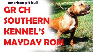 GR CH Mayday APBT\ pitbull game [upl. by Mllly]