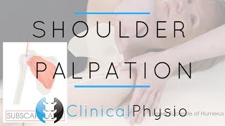 Shoulder Palpation  Clinical Physio Premium [upl. by Carrel15]