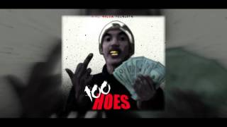 Mike Sherm  100 Hoes [upl. by Dlonyar]