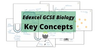 The WHOLE of Edexcel GCSE Biology KEY CONCEPTS [upl. by Debbi]