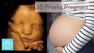 36 Weeks Pregnant What You Need To Know  Channel Mum [upl. by Evanne831]